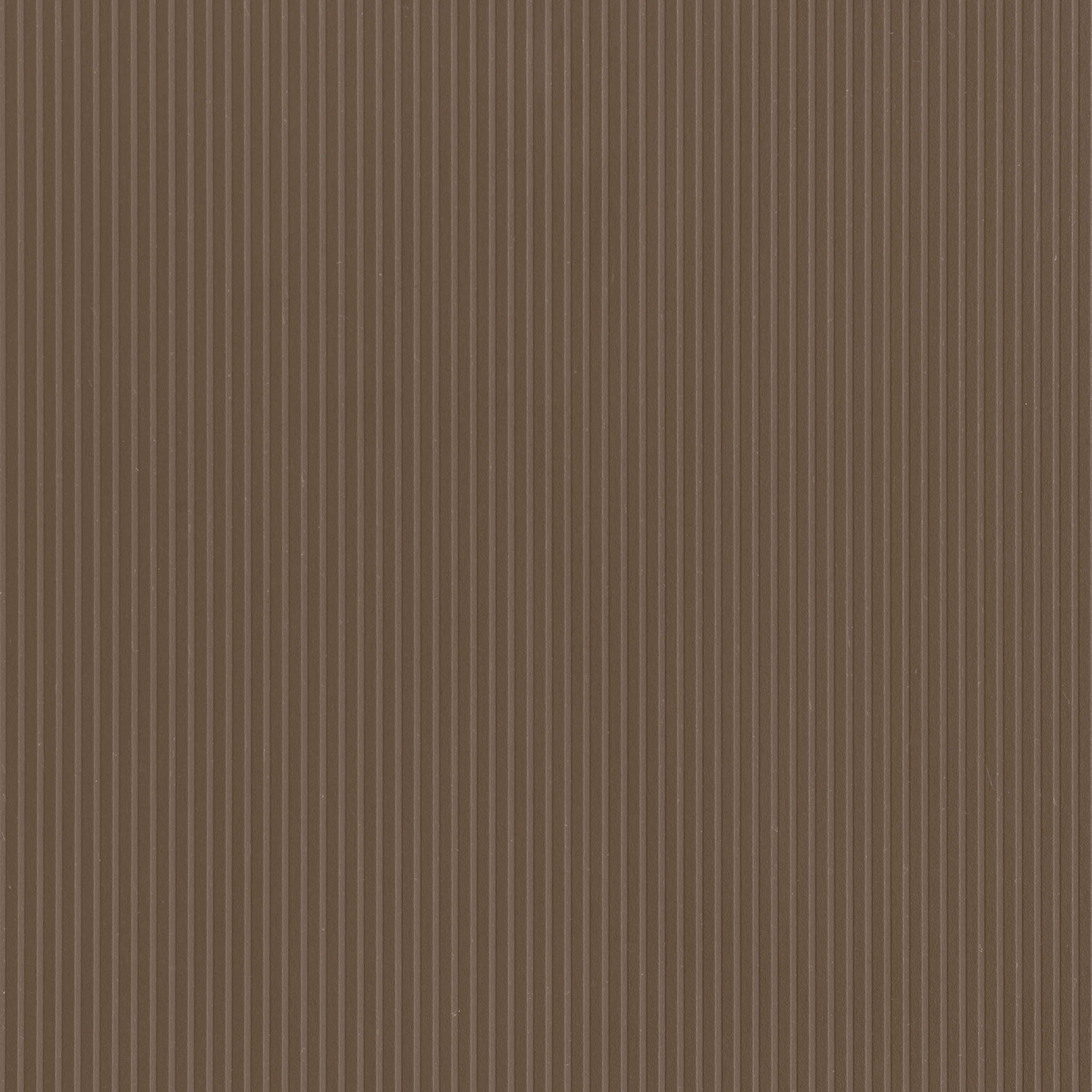 Line Bronze